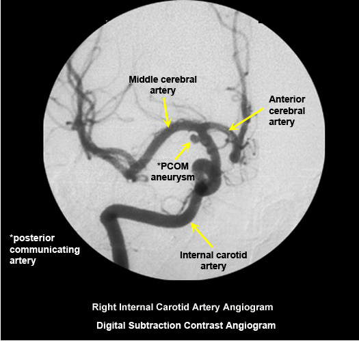 New Page 1 [www.stritch.luc.edu]