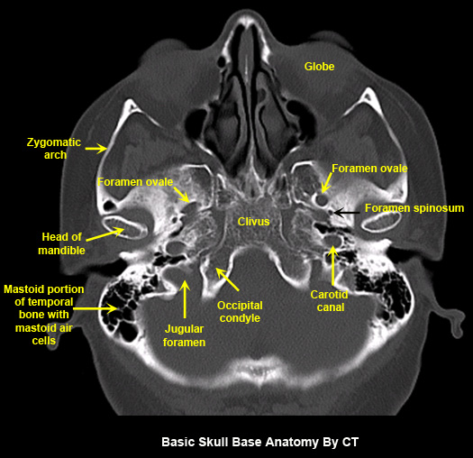 Untitled Document [www.stritch.luc.edu]