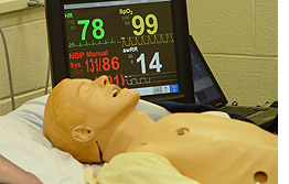 simman_in_action_l.jpg