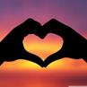 Image result for heart
