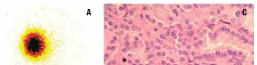 a13fig01a-c.jpg