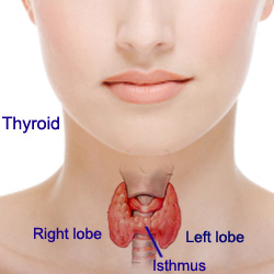 thyroid-cancer.jpg